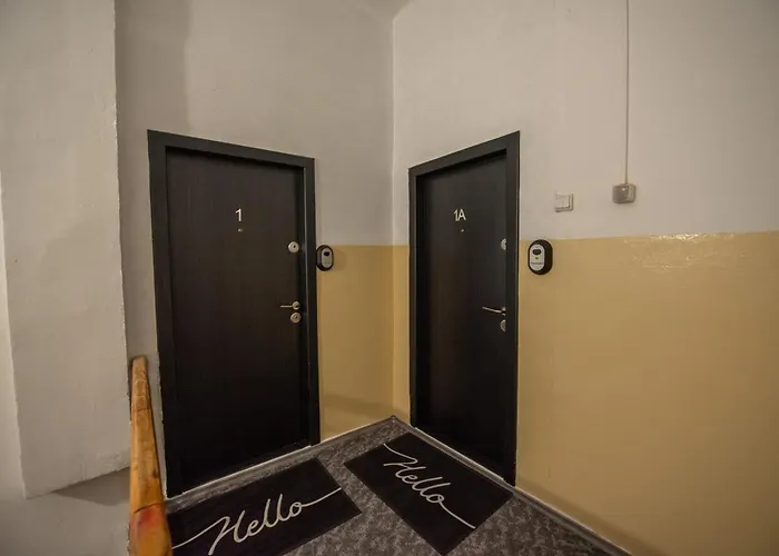 Апартаменты Luxury Centrul Vechi *